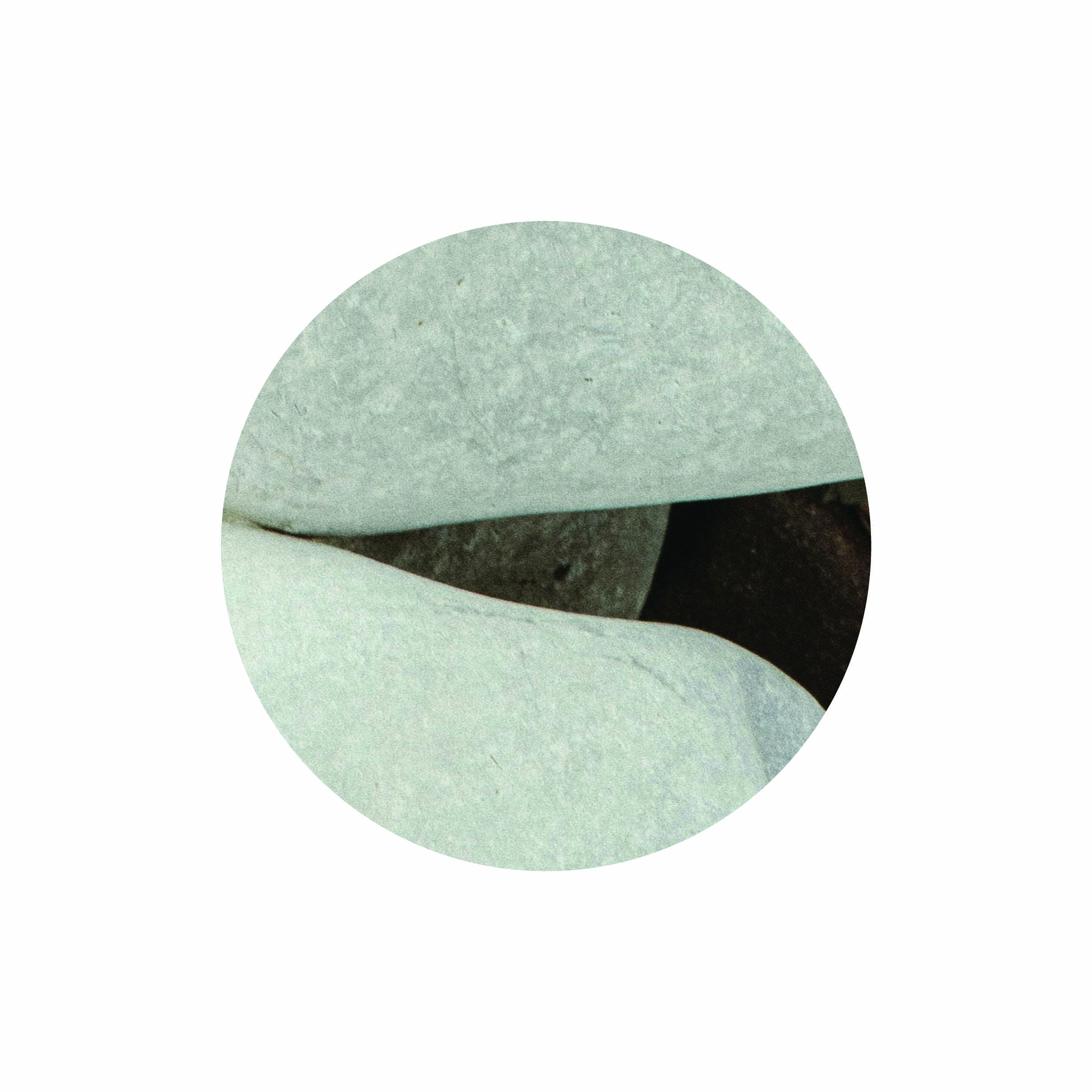 Anne-Claire . corporate identity