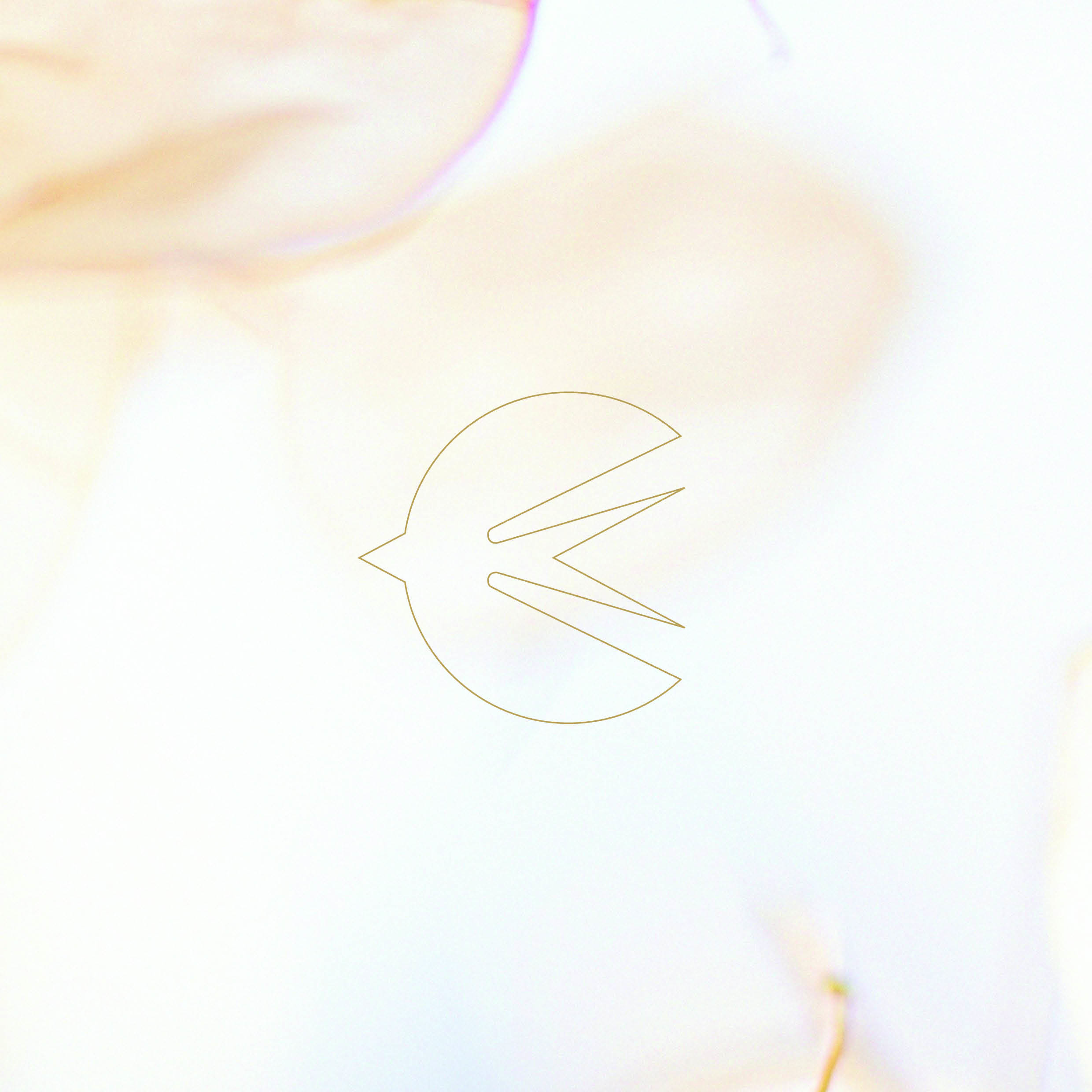 Lucent Isle . corporate identity